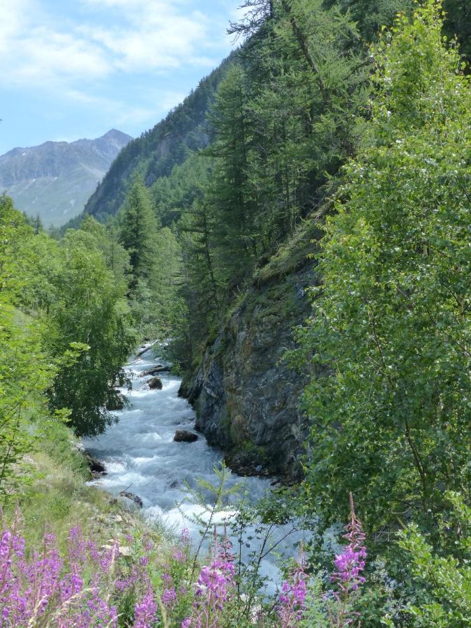 Tranquillite Et Authenticite Au Pied Des Ecrins Apartment Villar-d'Arene Exterior photo